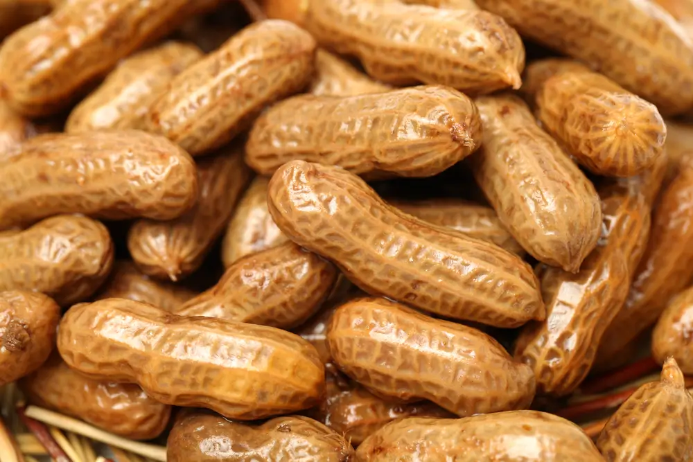 boiled peanuts nutrition benefits