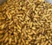 history of boiled peanuts in the United States